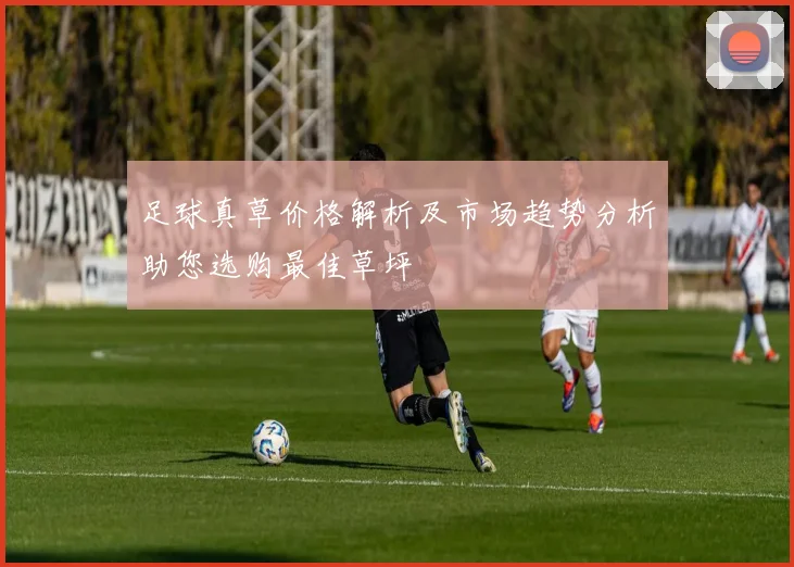 足球真草价格解析及市场趋势分析助您选购最佳草坪