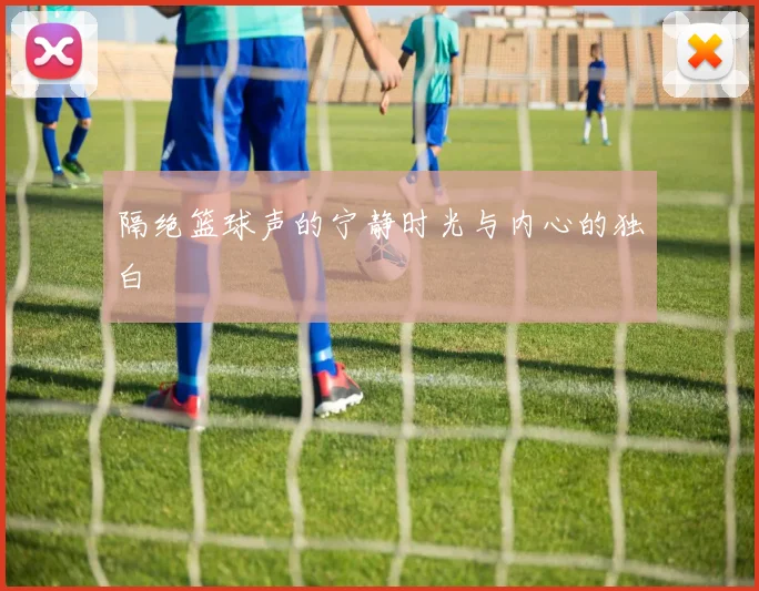 隔绝篮球声的宁静时光与内心的独白
