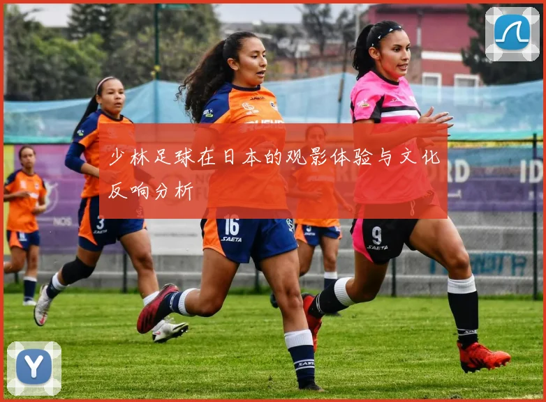 少林足球在日本的观影体验与文化反响分析