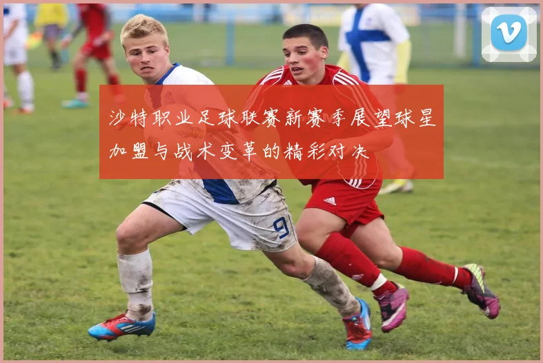 沙特职业足球联赛新赛季展望球星加盟与战术变革的精彩对决