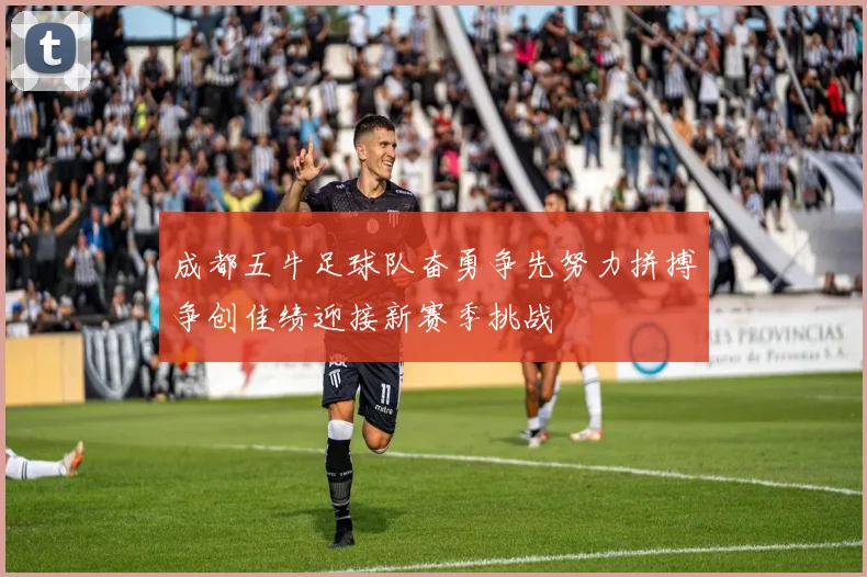 成都五牛足球队奋勇争先努力拼搏争创佳绩迎接新赛季挑战