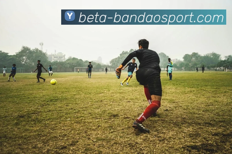 半岛体育APP 封面图